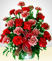 Flores - Rojo Ilusin: Claveles Rojos y Rosados