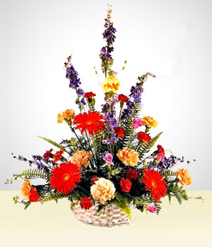 Flores a Colombia Celestial: Claveles Multicolores